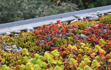 the cost of Thrunton green roof installation