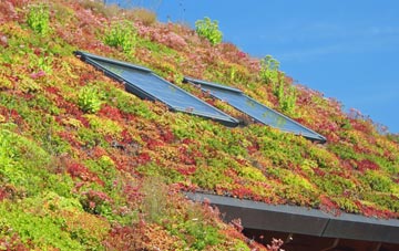 Thrunton living roof systems
