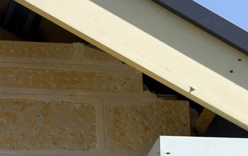 soffit repair Thrunton